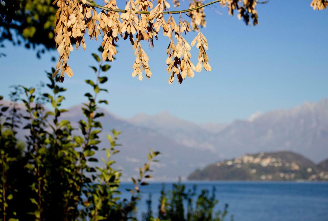 Lakefront Villa Del Pierangelo Cremia エクステリア 写真