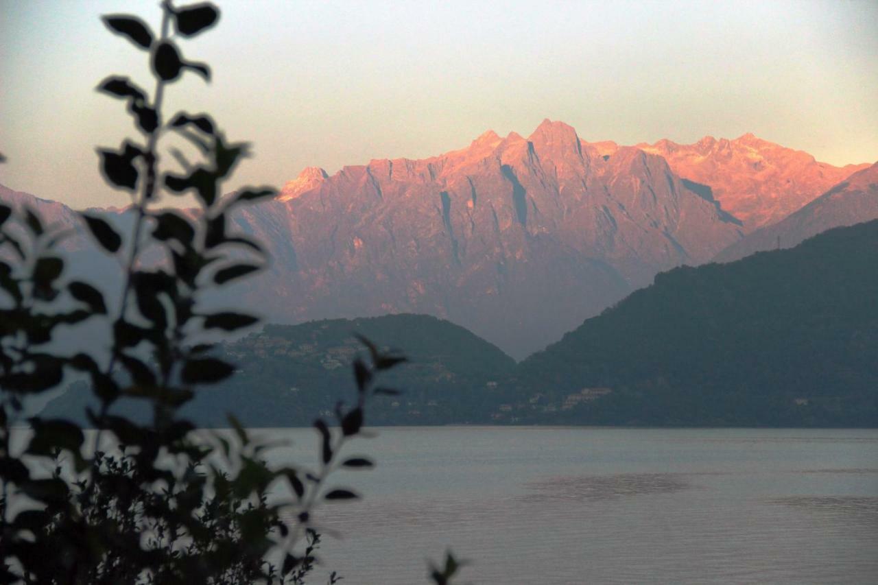 Lakefront Villa Del Pierangelo Cremia エクステリア 写真